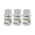 Pack X3 Ashwagandha + Magnesio 1000mg