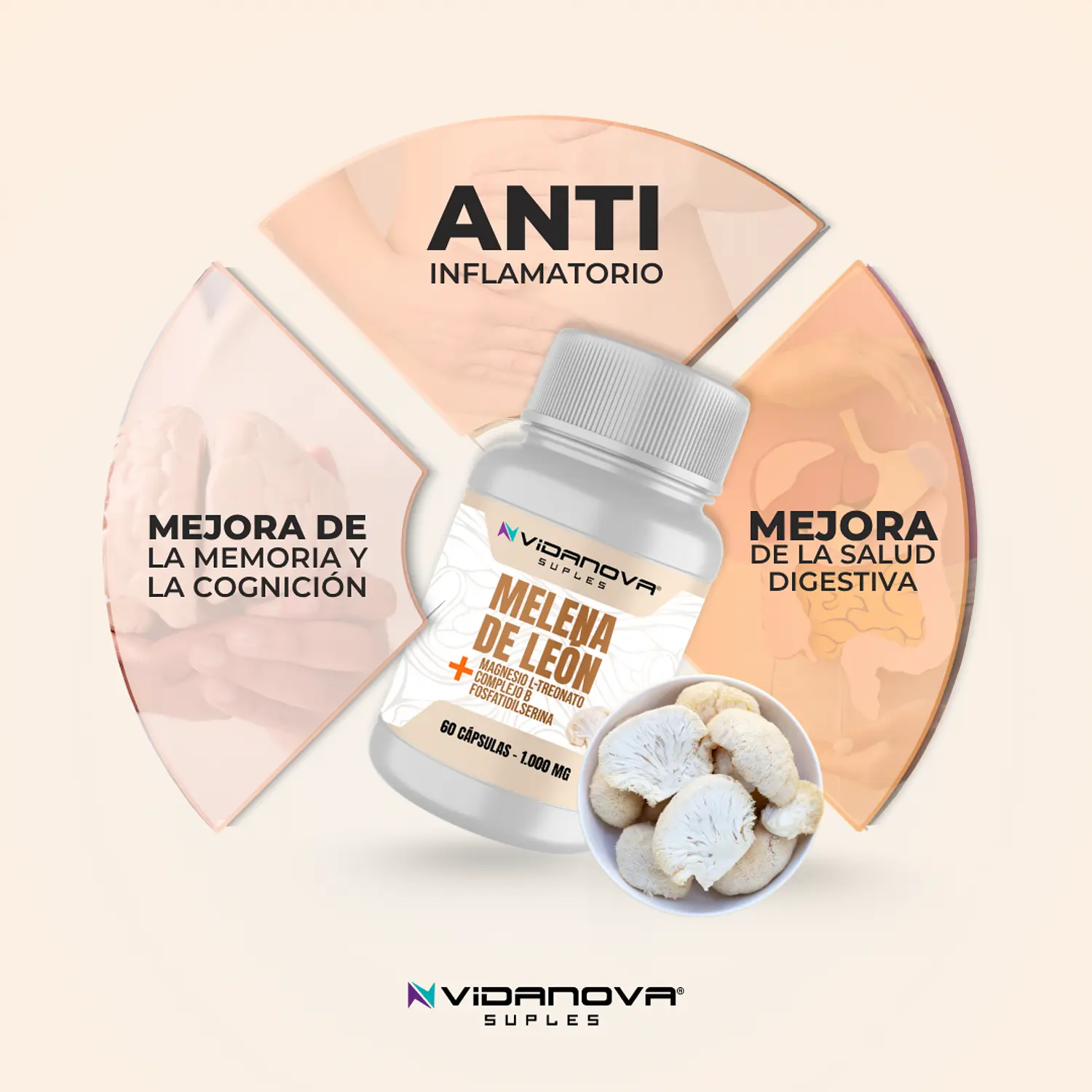 Melena de León Fortificada 60 Caps