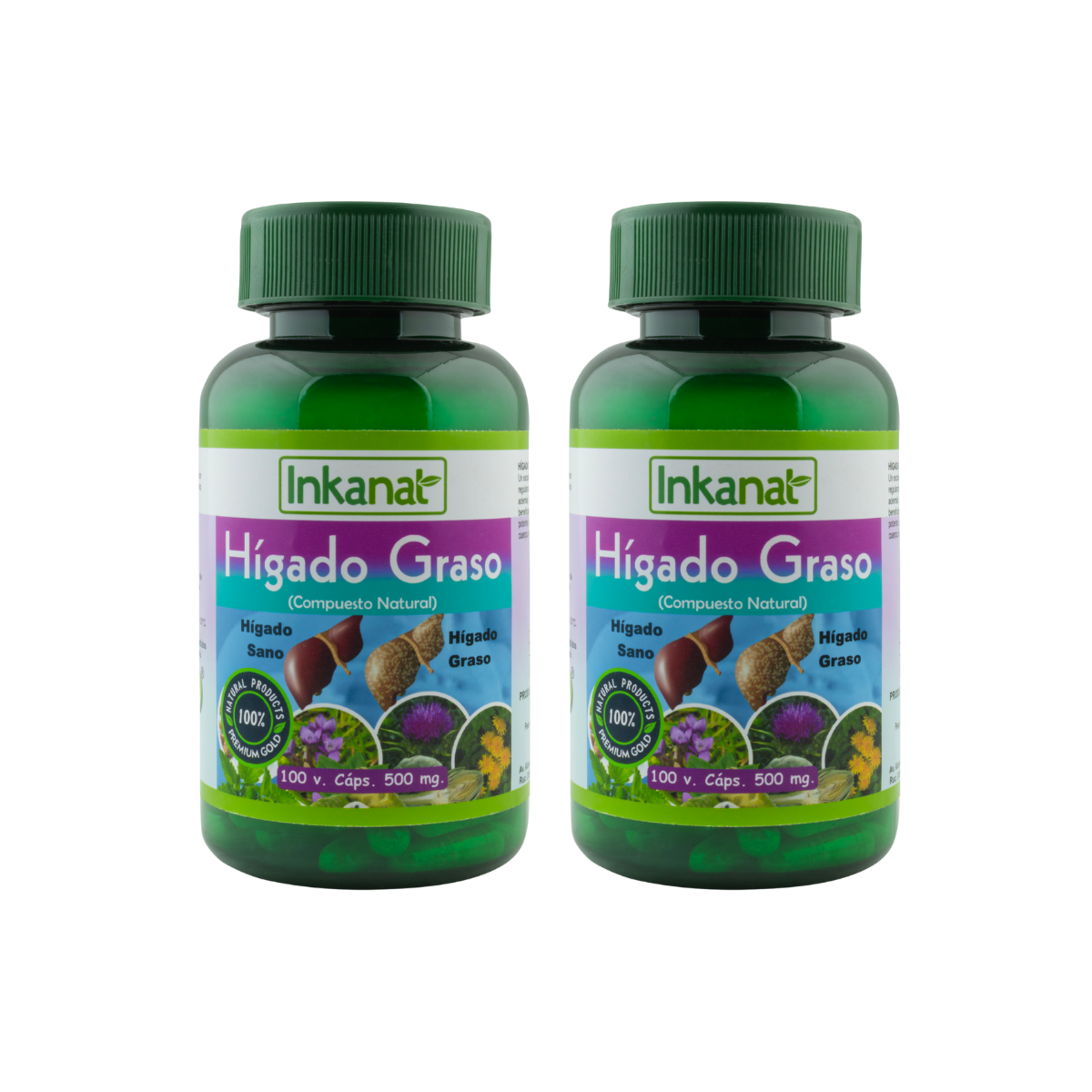 Hígado Graso